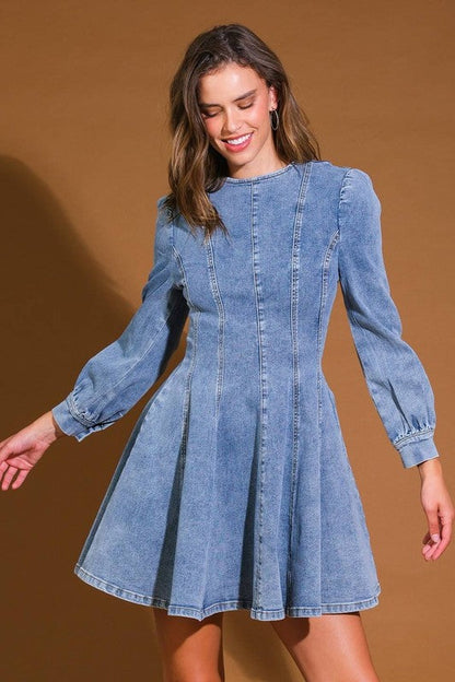 Women's Denim Skater Mini Dress