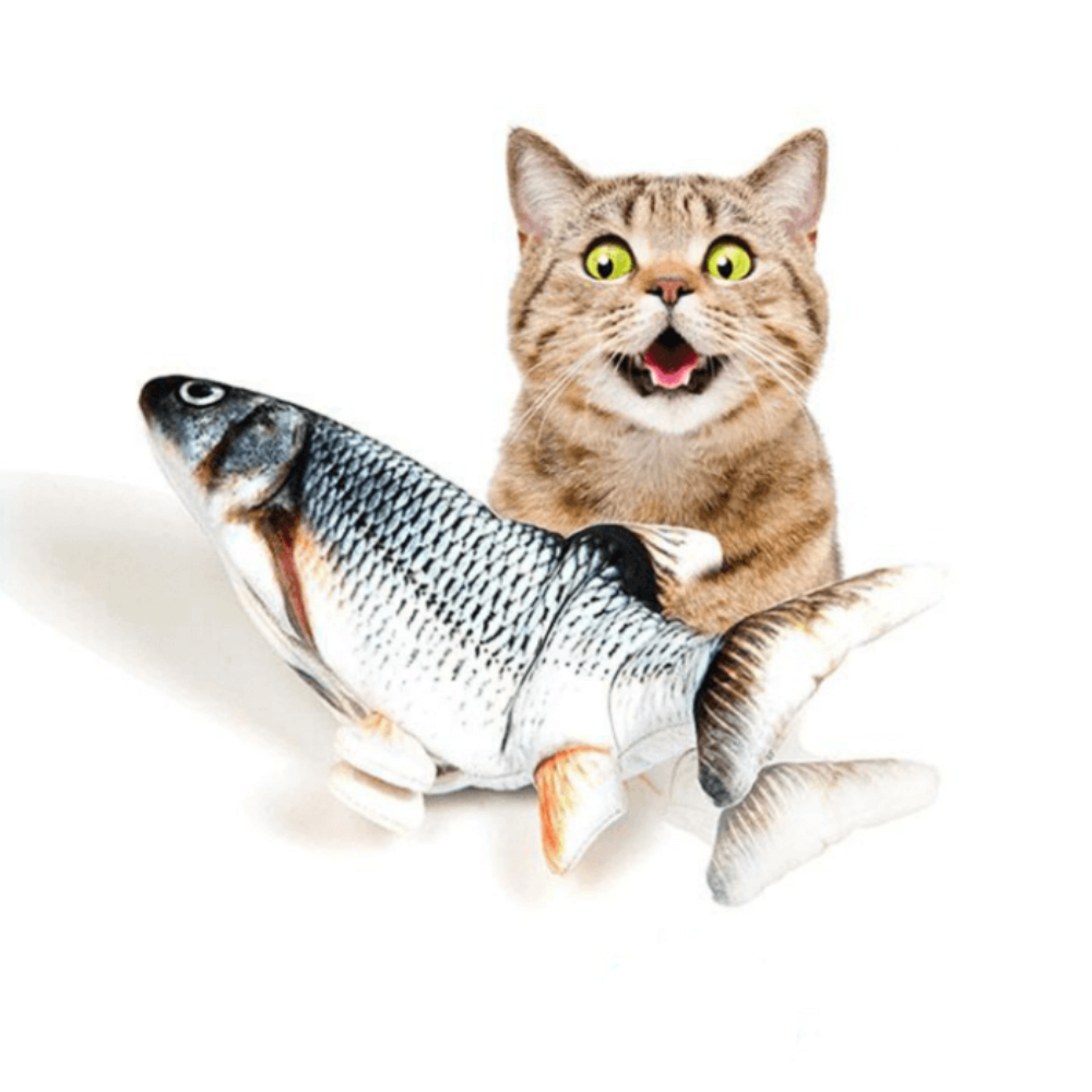 Dancing Fish | Self-moving Cat toys