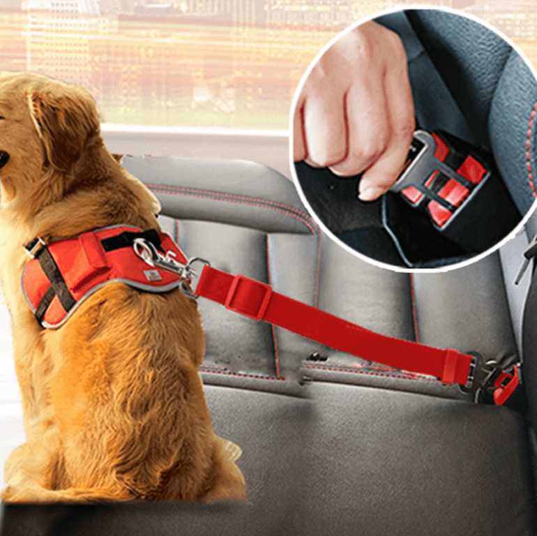 Dog Car Seatbelt