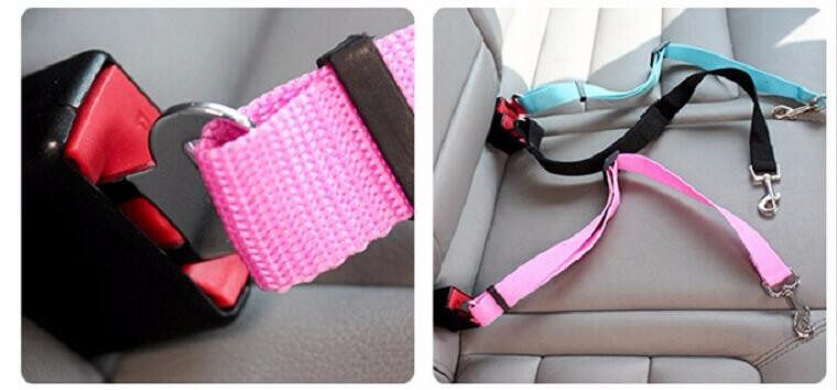Dog Car Seatbelt