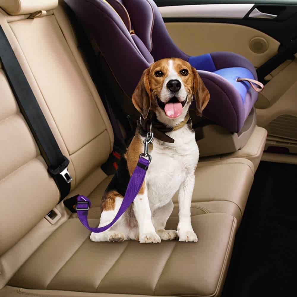 Dog Car Seatbelt