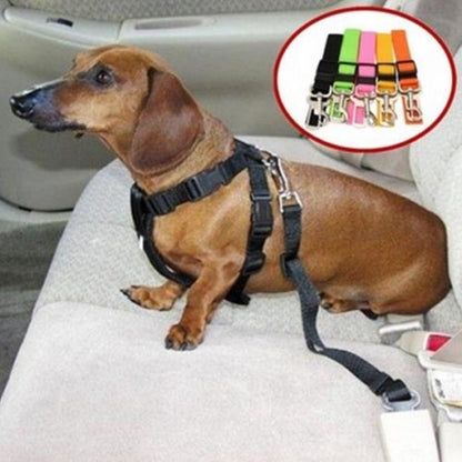 Dog Car Seatbelt