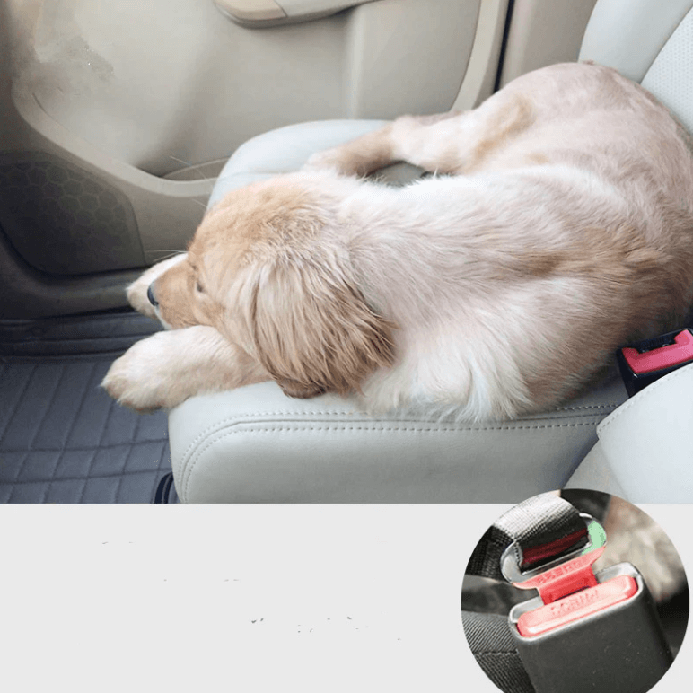 Dog Car Seatbelt
