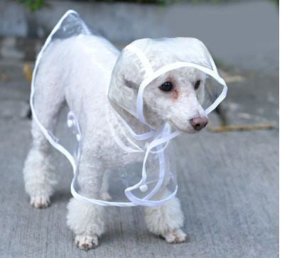 Dog Waterproof Transparent Raincoat