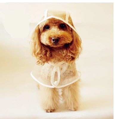 Dog Waterproof Transparent Raincoat