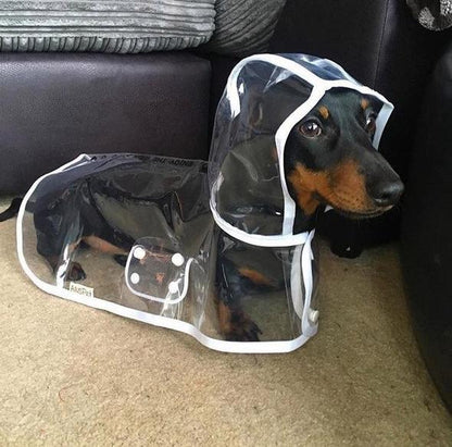 Dog Waterproof Transparent Raincoat