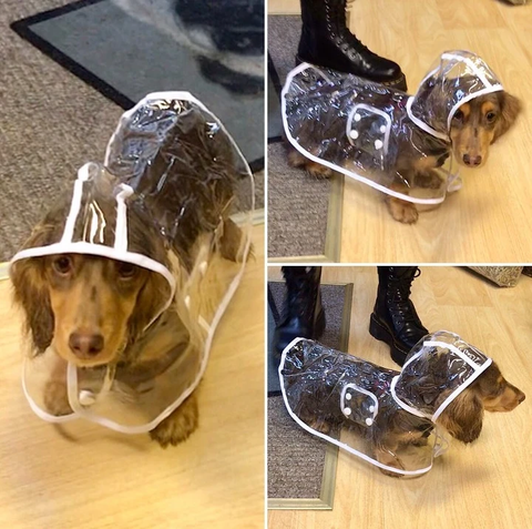 Dog Waterproof Transparent Raincoat
