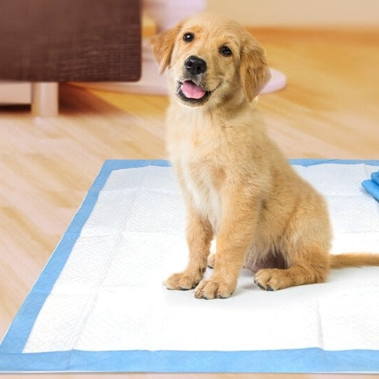 Dog pee pads