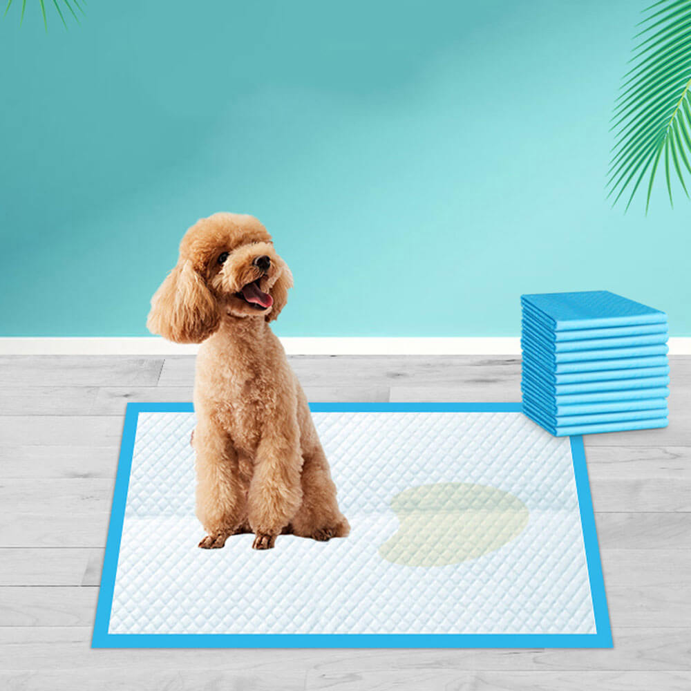 Dog pee pads