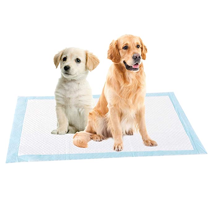 Dog pee pads