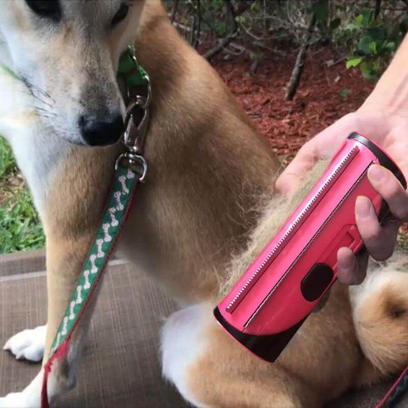 Double-sided Pet Hair Comb