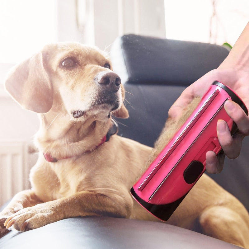 Double-sided Pet Hair Comb