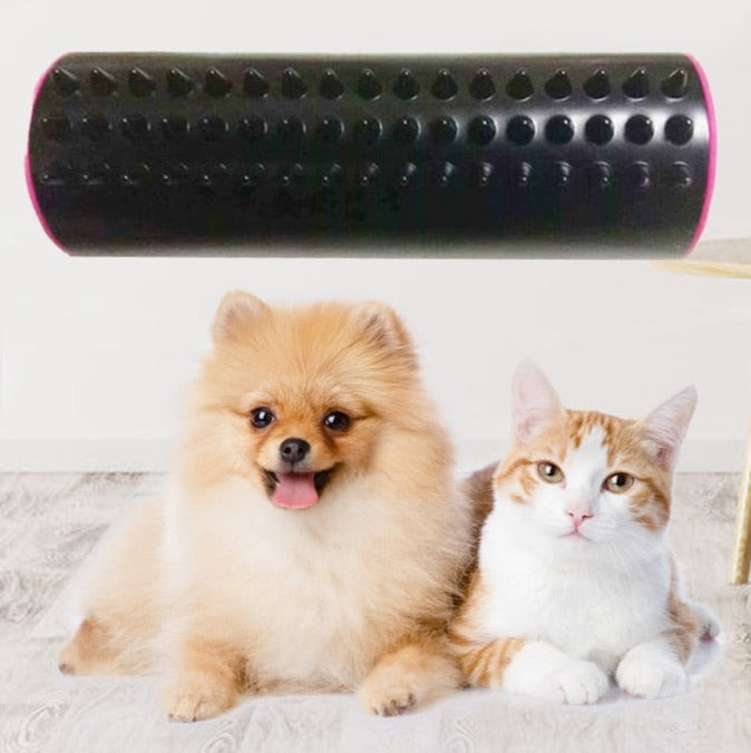 Double-sided Pet Hair Comb