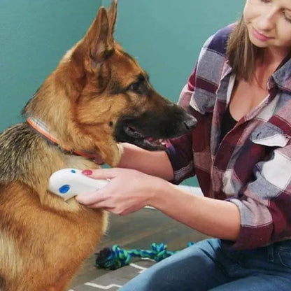 Electric flea remover for pets