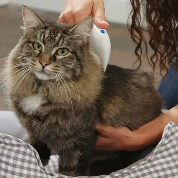 Electric flea remover for pets
