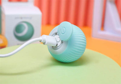 Electric rolling ball for pets