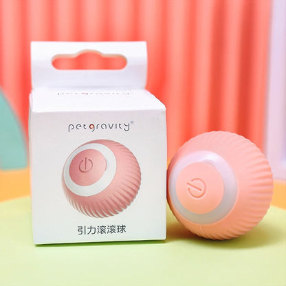 Electric rolling ball for pets
