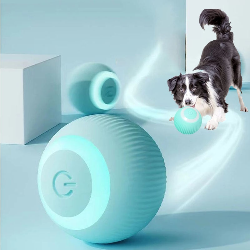 Electric rolling ball for pets