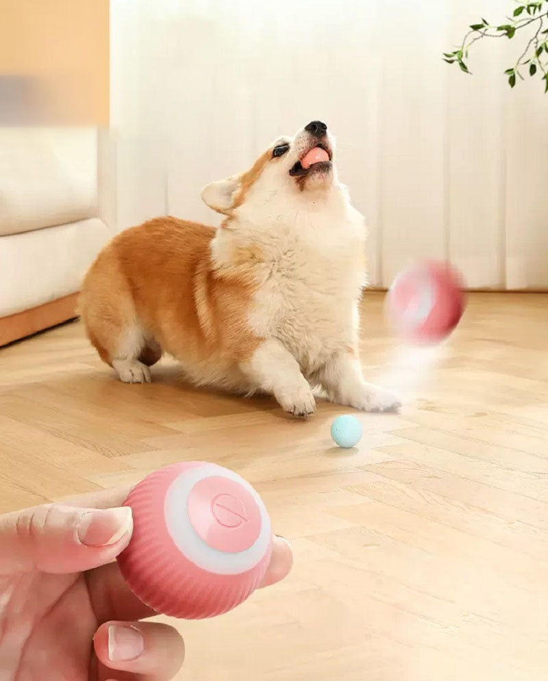 Electric rolling ball for pets