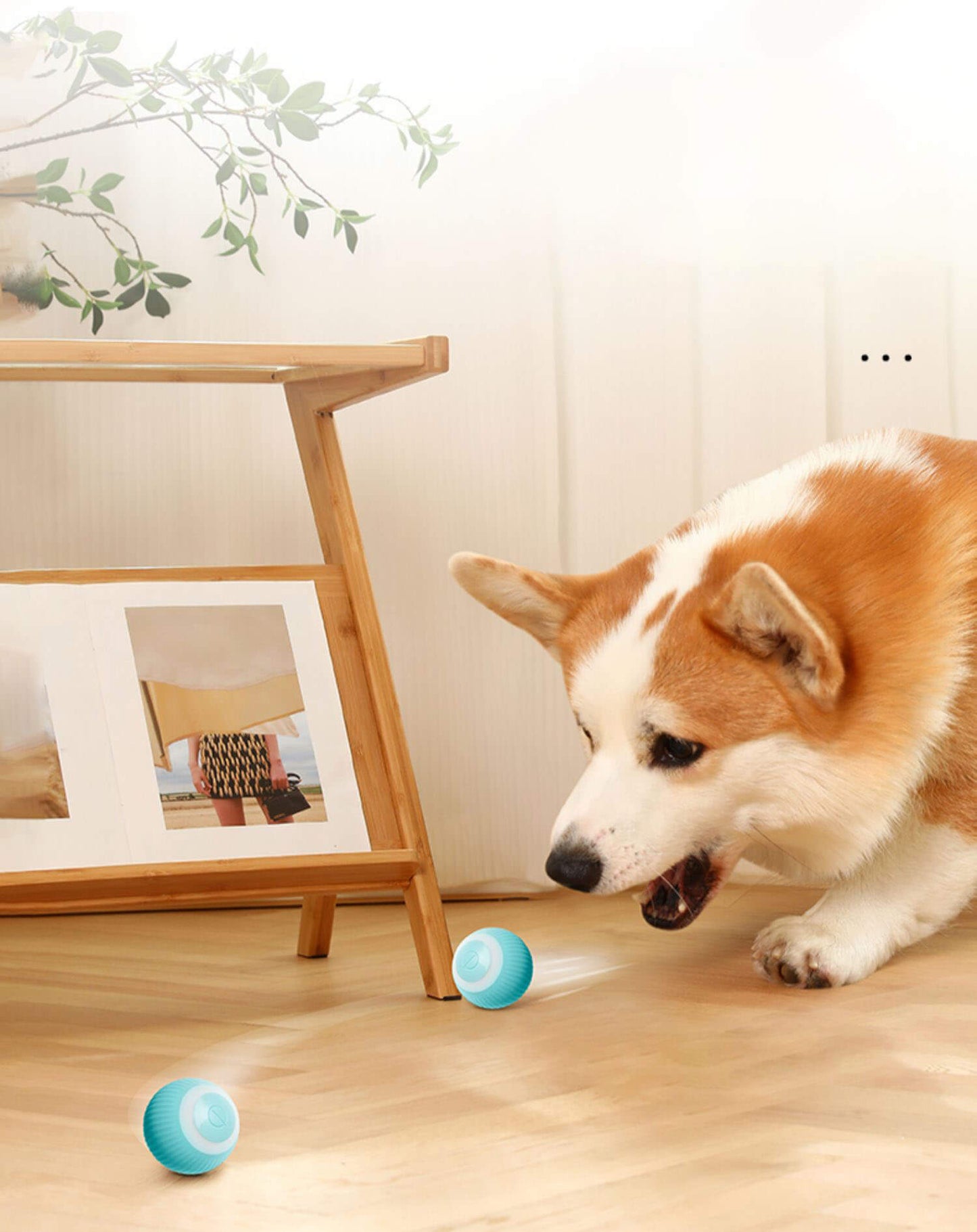Electric rolling ball for pets
