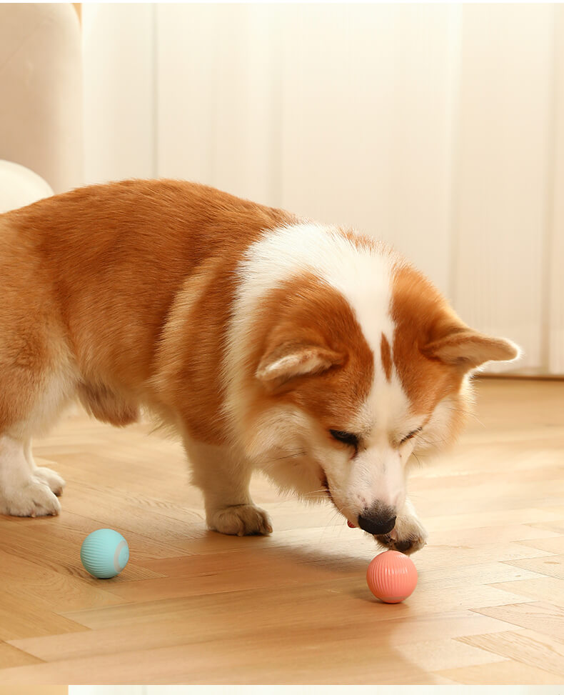 Electric rolling ball for pets