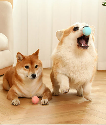 Electric rolling ball for pets