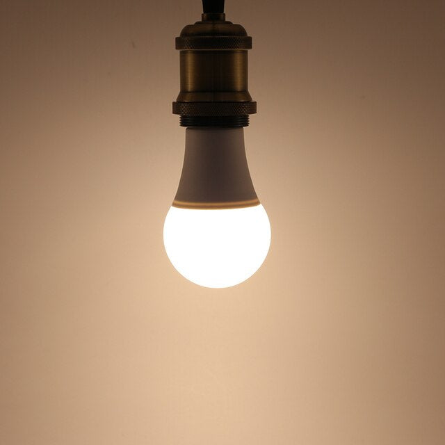 Emergency LED light