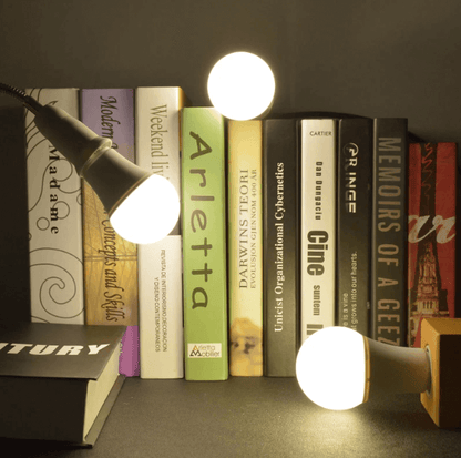 Emergency LED light