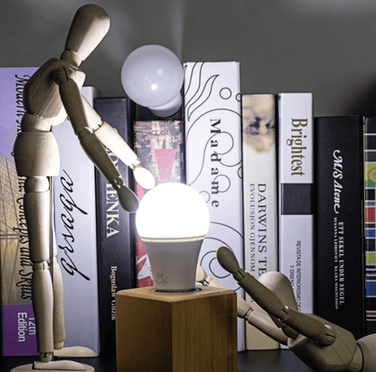 Emergency LED light