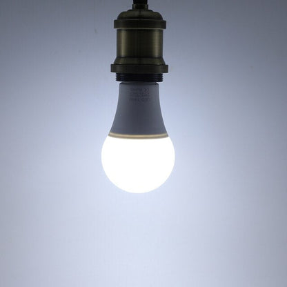 Emergency LED light
