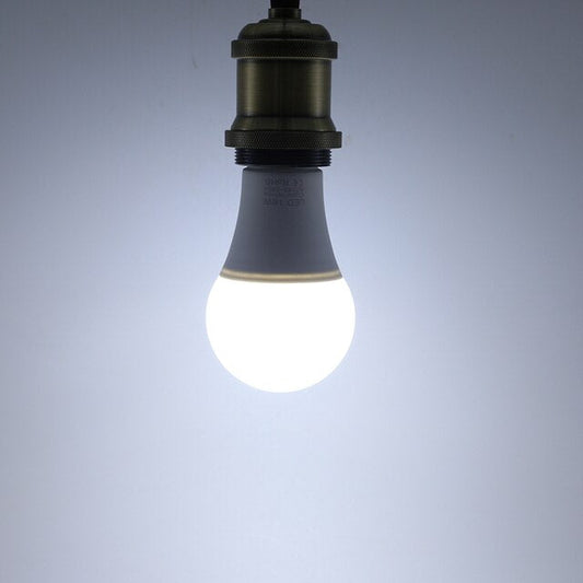 Emergency LED light