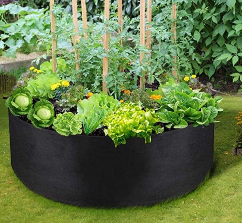 Draagbare Groei Tassen