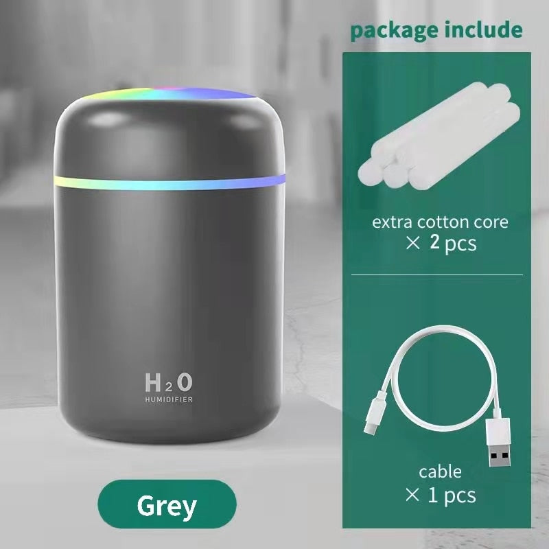 H2O Humidifier
