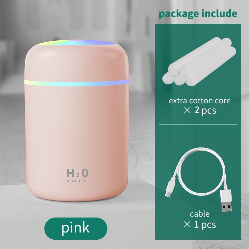 H2O Humidifier