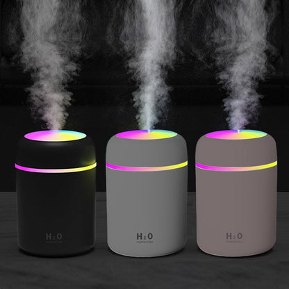 H2O Humidifier
