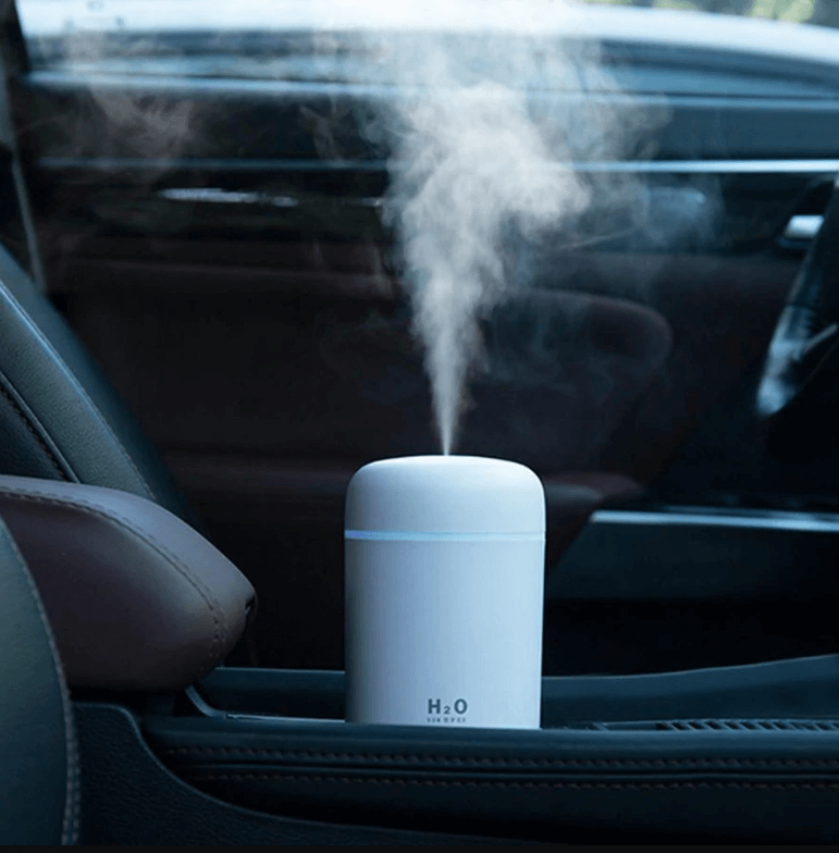 H2O Humidifier