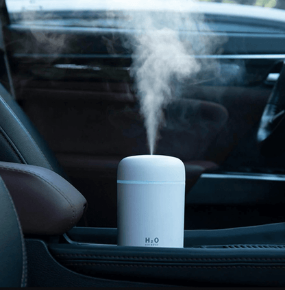 H2O Humidifier