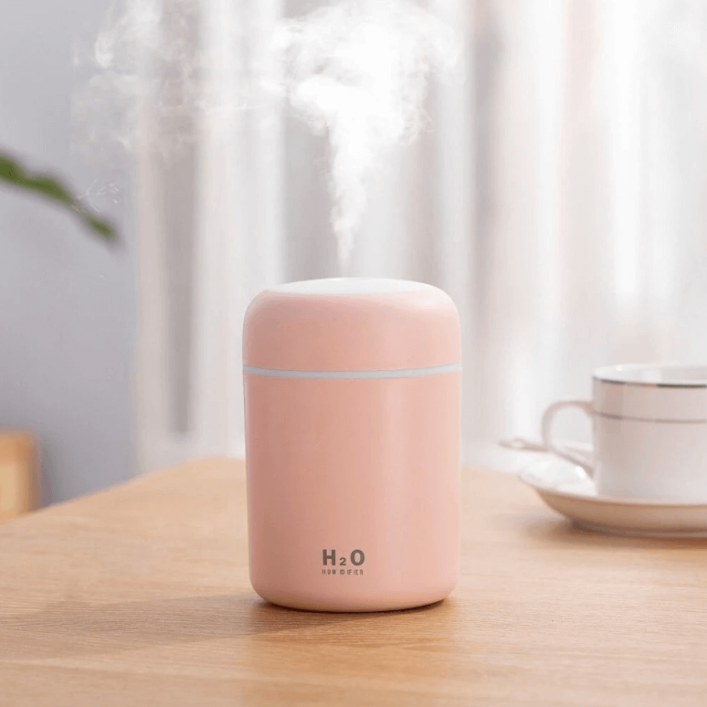 H2O Humidifier