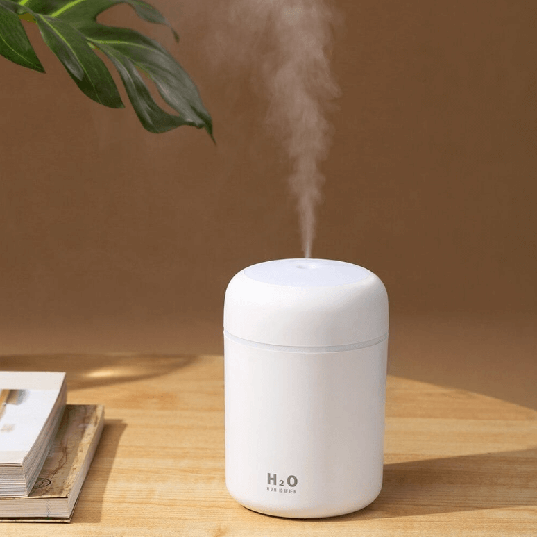 H2O Humidifier