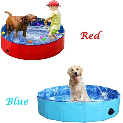 Portable Dog Pool