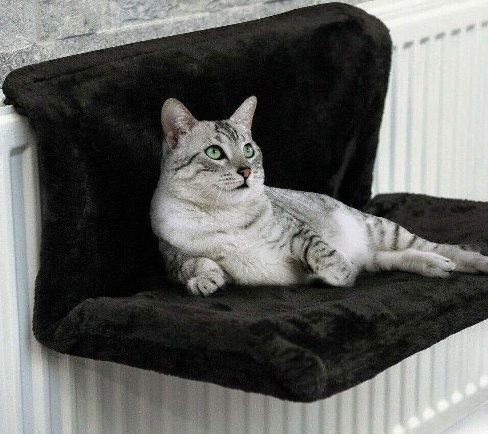 Cat Radiator Hammock