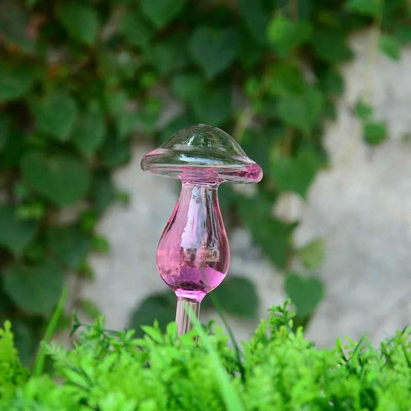 Houseplant Automatic Self Watering Glass