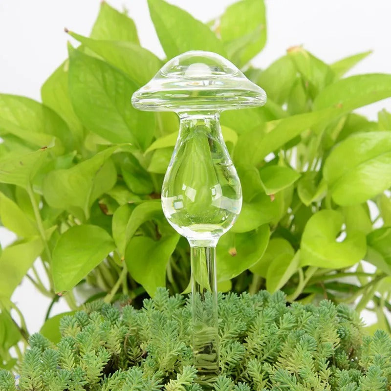 Houseplant Automatic Self Watering Glass