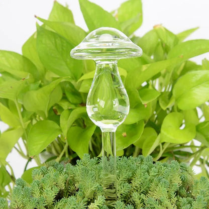 Houseplant Automatic Self Watering Glass