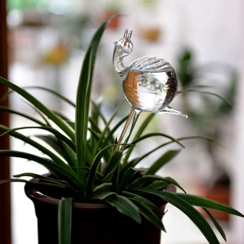 Houseplant Automatic Self Watering Glass