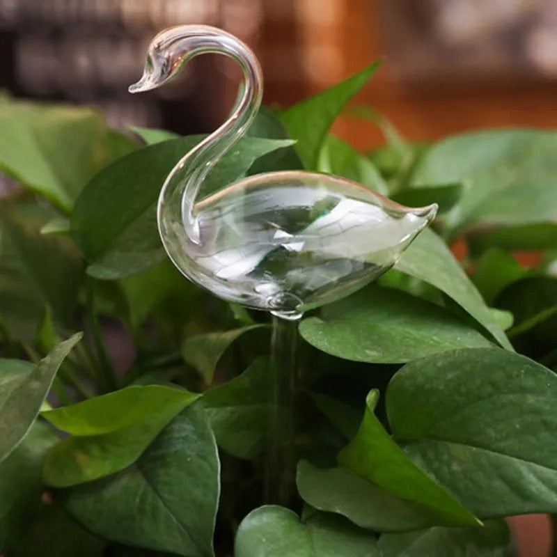 Houseplant Automatic Self Watering Glass