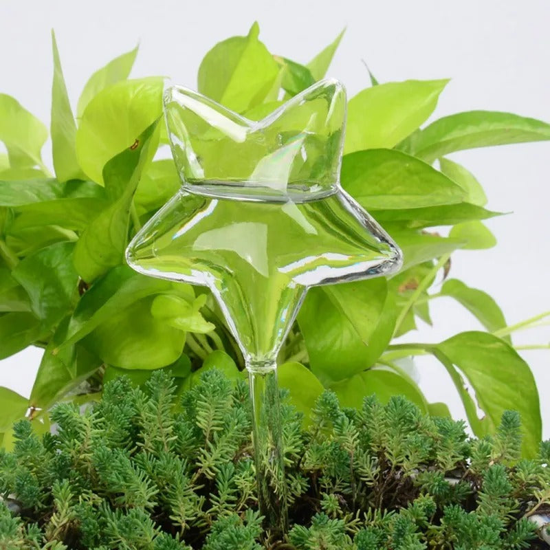 Houseplant Automatic Self Watering Glass