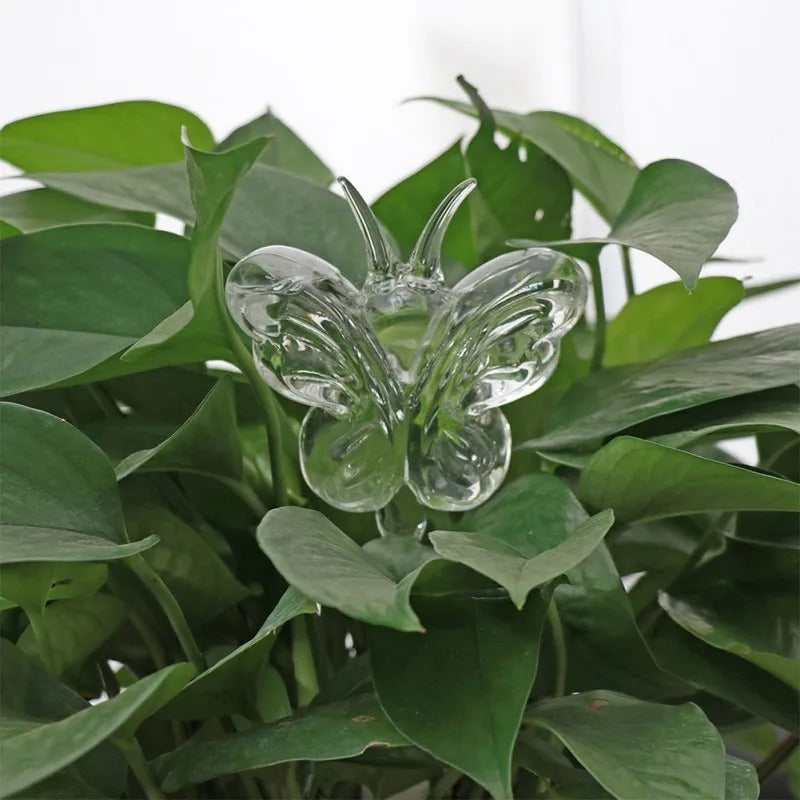 Houseplant Automatic Self Watering Glass