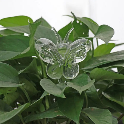 Houseplant Automatic Self Watering Glass