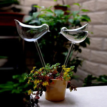 Houseplant Automatic Self Watering Glass